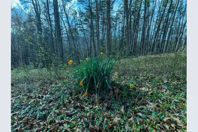 Lt 30 Eagle Ridge Road, Dawsonville, GA 30534 - Photo 14