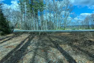 Lt 30 Eagle Ridge Rd, Dawsonville, GA 30534 - Photo 1