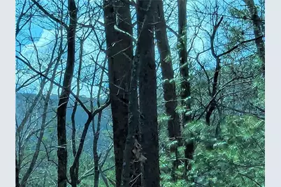 Lt 30 Eagle Ridge Road, Dawsonville, GA 30534 - Photo 2