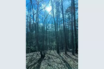 Lt 30 Eagle Ridge Road, Dawsonville, GA 30534 - Photo 8