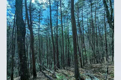 Lt 30 Eagle Ridge Road, Dawsonville, GA 30534 - Photo 10