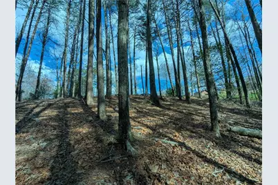 Lt 30 Eagle Ridge Road, Dawsonville, GA 30534 - Photo 6