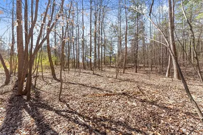 4055 Vintage Court, Cumming, GA 30041 - Photo 28