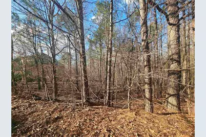 1628 Norris Landing Drive, Snellville, GA 30039 - Photo 10