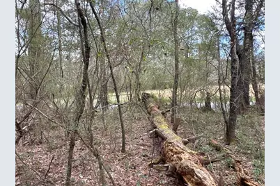 Tct 3 Popham Road, Taylorsville, GA 30178 - Photo 6