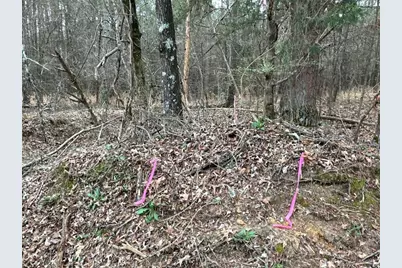 Tct 3 Popham Road, Taylorsville, GA 30178 - Photo 12