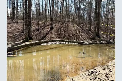 9011 Highpoint Road, Villa Rica, GA 30180 - Photo 60