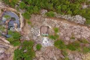 250 Lee Paul Rd, Hawkinsville, GA 31036 - Photo 40