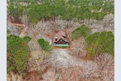 250 Lee Paul Road, Hawkinsville, GA 31036 - Photo 6