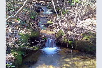 156 Cold Stream Trail, Jasper, GA 30143 - Photo 2