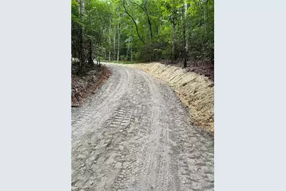 156 Cold Stream Trail, Jasper, GA 30143 - Photo 4