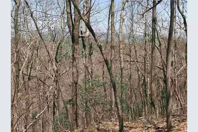 156 Cold Stream Trail, Jasper, GA 30143 - Photo 12