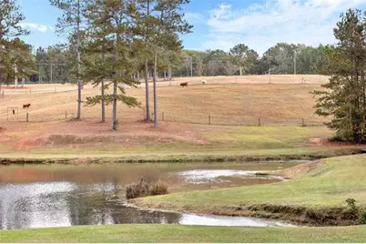 1915 Whooping Creek Church Road, Carrollton, GA 30116 - Photo 14