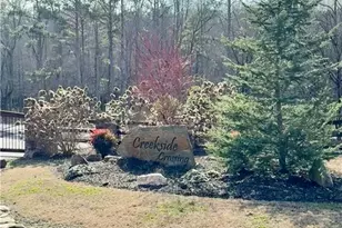 316 Pebble Trace St, Ellijay, GA 30540 - Photo 1