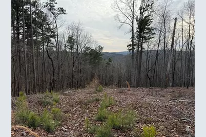 316 Pebble Trace Street, Ellijay, GA 30540 - Photo 20