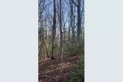 0 Highland Trail, Cleveland, GA 30528 - Photo 2
