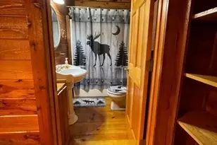 439 Conley Branch Road, Blue Ridge, GA 30513 - Photo 10