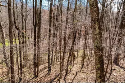 1040 Smithwyck Drive, Canton, GA 30115 - Photo 44