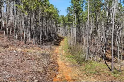 12100 Reinhardt College Parkway, Waleska, GA 30183 - Photo 12