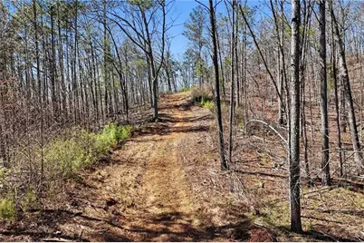 12100 Reinhardt College Parkway, Waleska, GA 30183 - Photo 10