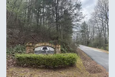 0 Gold Mine Knob, Blairsville, GA 30512 - Photo 20