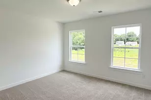 213 Cochin Dr, Statham, GA 30666 - Photo 26