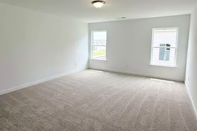 213 Cochin Drive, Statham, GA 30666 - Photo 24