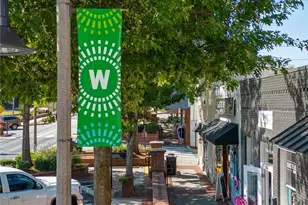 435 Hathaway Ave, Woodstock, GA 30188 - Photo 88