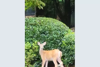 7270 Flowery Branch Road, Cumming, GA 30041 - Photo 46