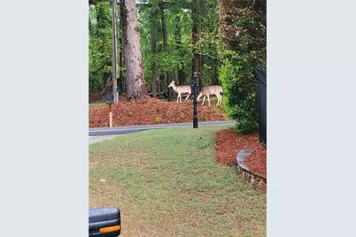 7270 Flowery Branch Road, Cumming, GA 30041 - Photo 48