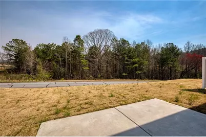 29 Gold Dust Drive, Dawsonville, GA 30534 - Photo 40