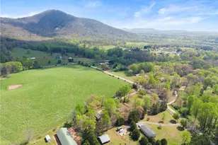 7061 Homer White Rd, Clermont, GA 30527 - Photo 62