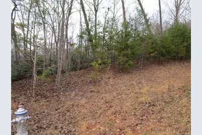 Lot 24 Long Mountain Trail, Cleveland, GA 30528 - Photo 6