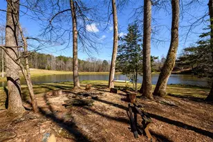 91 Whispering Lake Way, Blue Ridge, GA 30513 - Photo 28