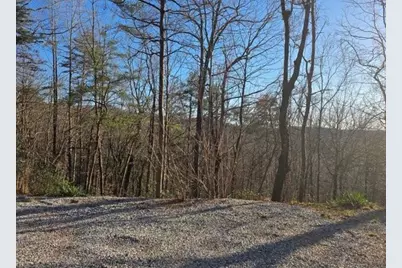 100 Hidden Hollow Lane, Dahlonega, GA 30533 - Photo 10