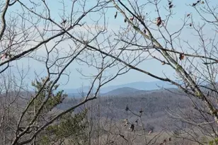 100 Hidden Holw Ln, Dahlonega, GA 30533 - Photo 2