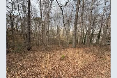 00 Lake Club Drive, Lavonia, GA 30553 - Photo 4