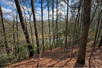 0 Hamlet Court, Ellijay, GA 30540 - Photo 18