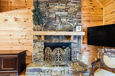 135 Hale Court, Ellijay, GA 30540 - Photo 10