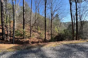 135 Hale Ct, Ellijay, GA 30540 - Photo 48