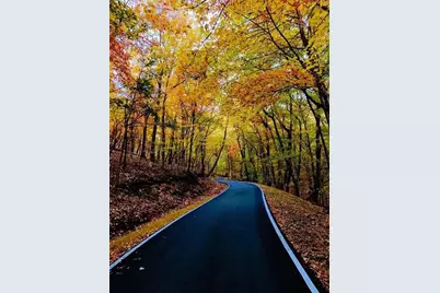 0 Shadowick Mountain Road, Jasper, GA 30143 - Photo 8