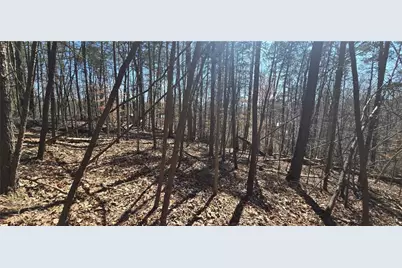 00001 Friendship Trail, Talking Rock, GA 30175 - Photo 8