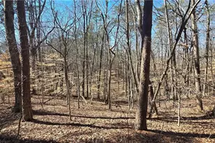 00001 Friendship Trail, Talking Rock, GA 30175 - Photo 1