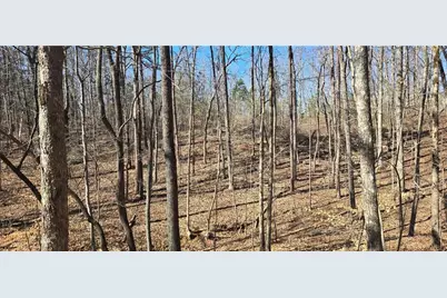 00001 Friendship Trail, Talking Rock, GA 30175 - Photo 2