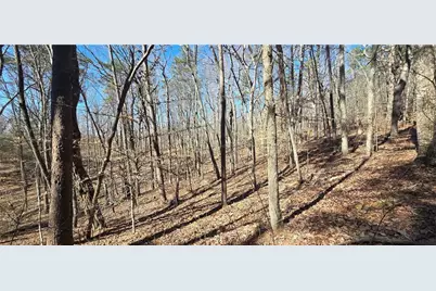 00001 Friendship Trail, Talking Rock, GA 30175 - Photo 10