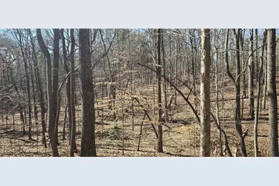 00001 Friendship Trail, Talking Rock, GA 30175 - Photo 4