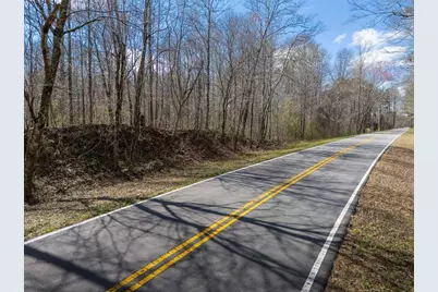 0 Bell Road, Bremen, GA 30110 - Photo 8