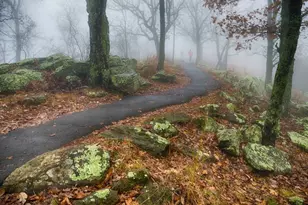 3575 Creek Mill Dr NW, Kennesaw, GA 30152 - Photo 28