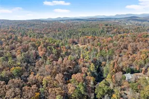 893 Hooper Rd, Cleveland, GA 30528 - Photo 66