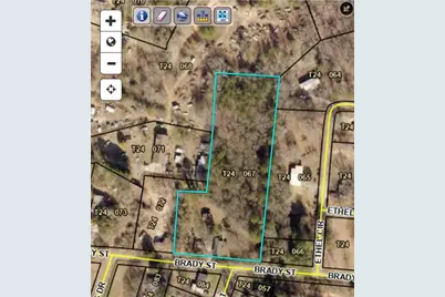 129 Brady Street, Toccoa, GA 30577 - Photo 10